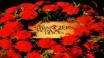 Перевод слов музыкальной композиции — Red Letter Day с английского на русский исполнителя Jim Kerr